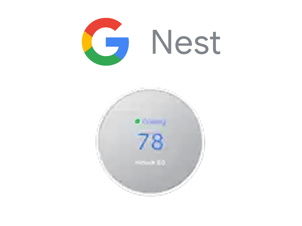 Nest-1